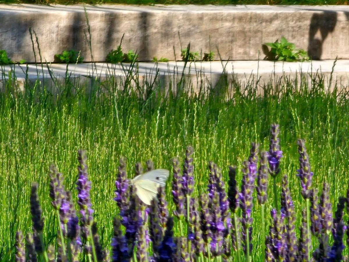Domaine Slow-Life Thairé Εξωτερικό φωτογραφία