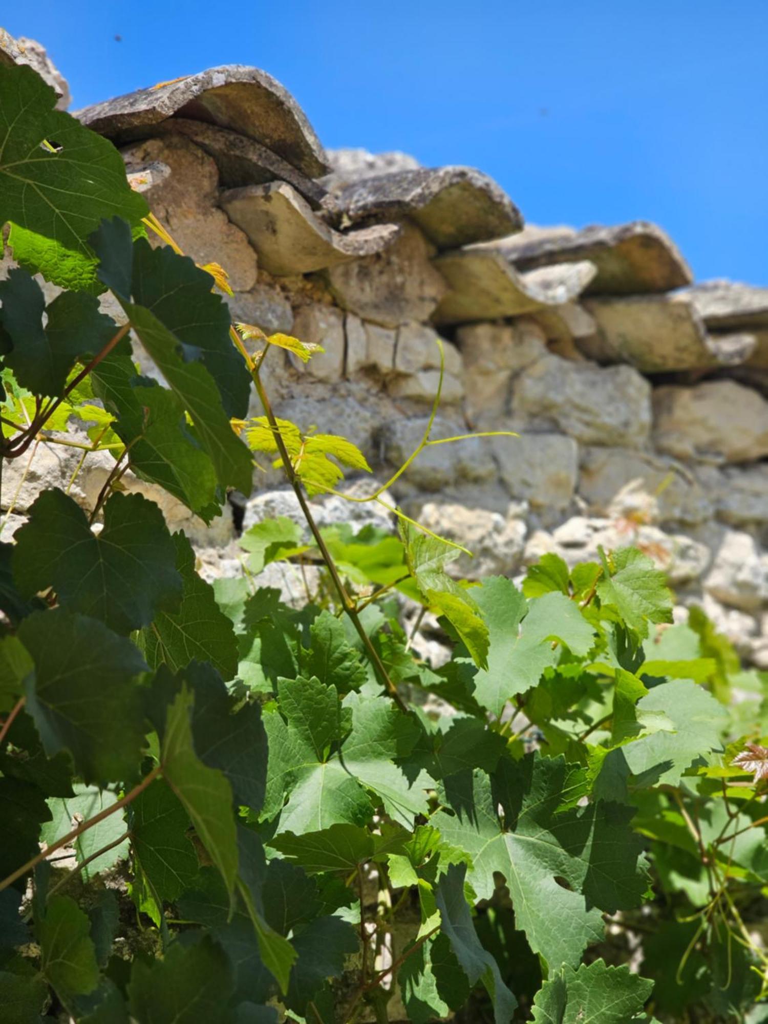 Domaine Slow-Life Thairé Εξωτερικό φωτογραφία